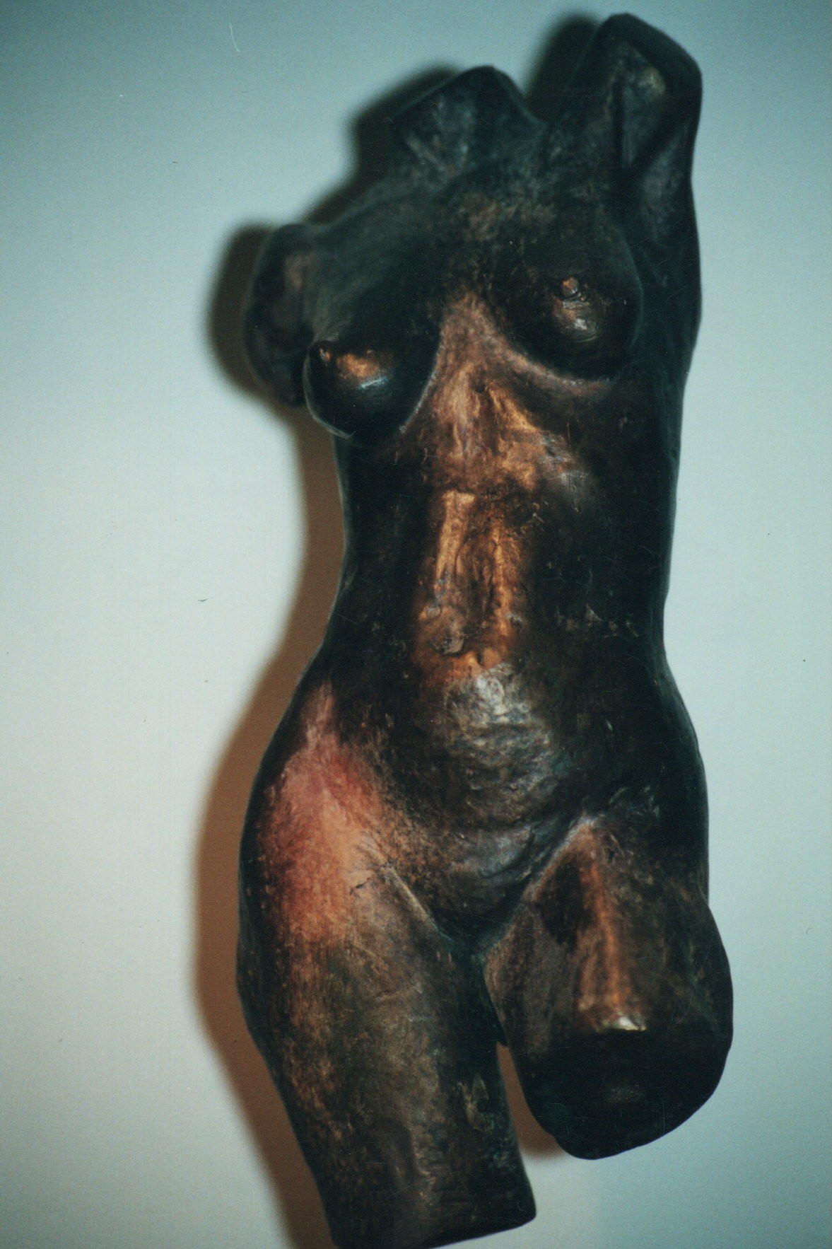 Bronze Bust