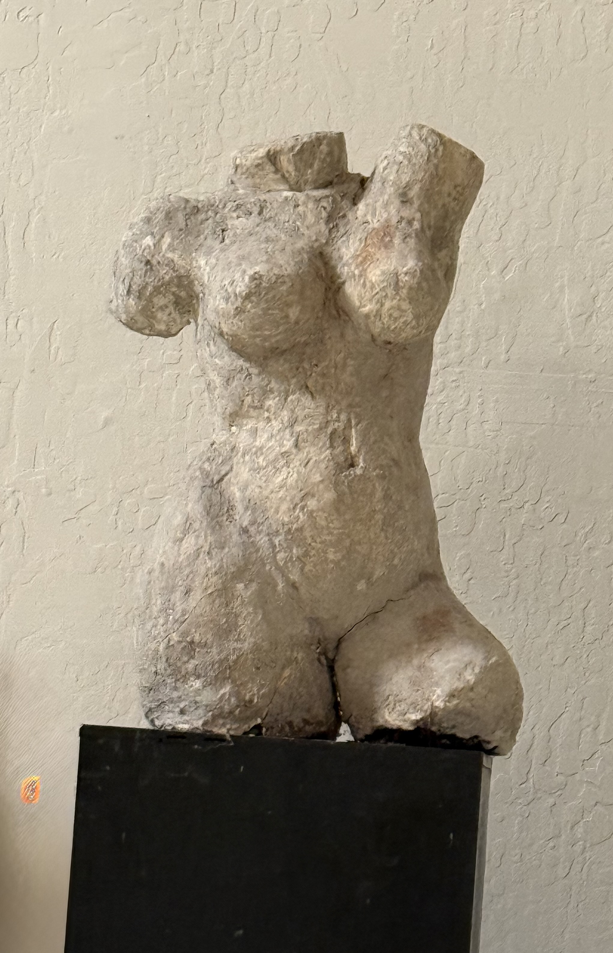 Torso